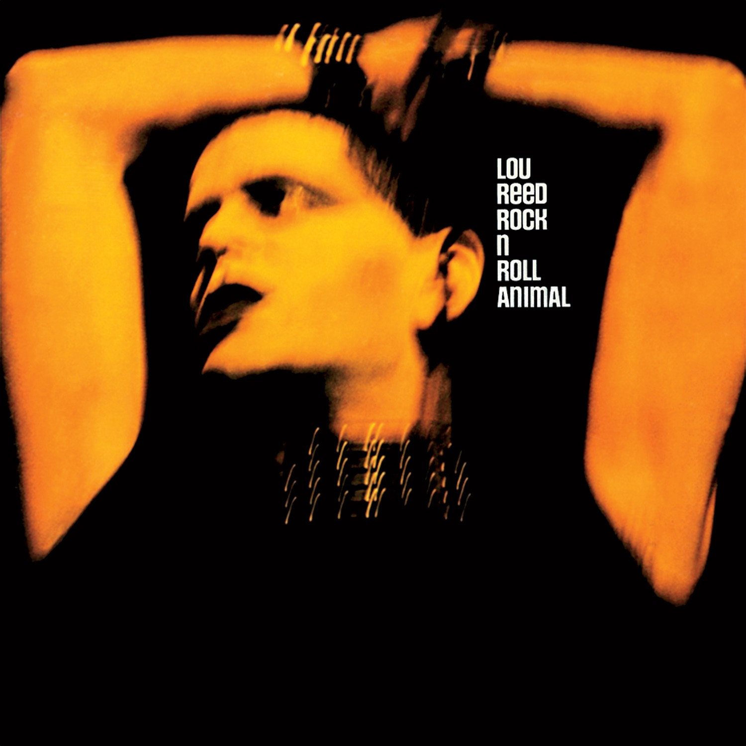 Lou Reed Album Cover Lou Reed Album Cover